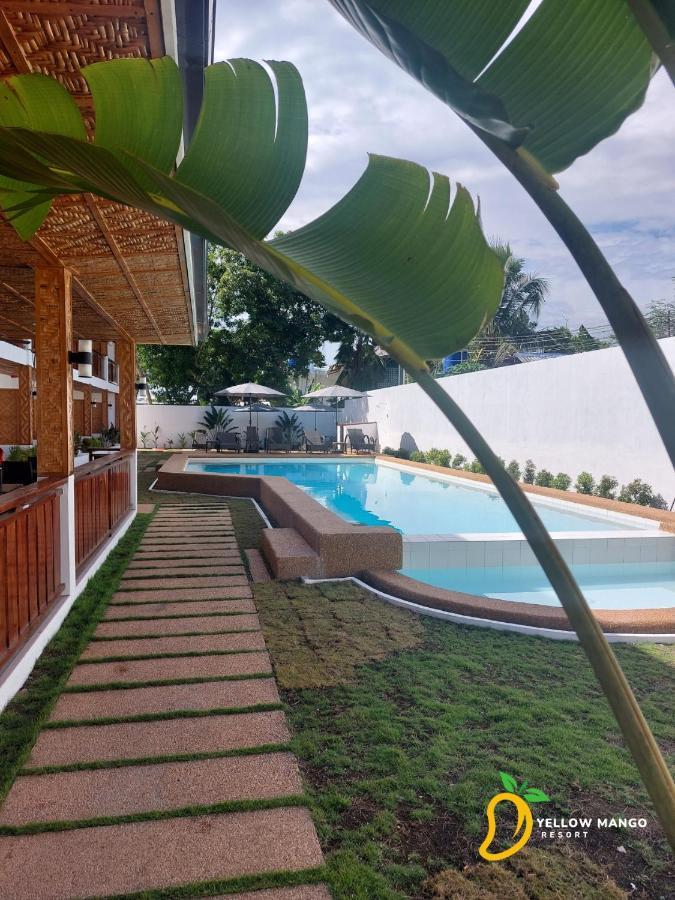 Yellow Mango Resort Bohol Panglao Zewnętrze zdjęcie